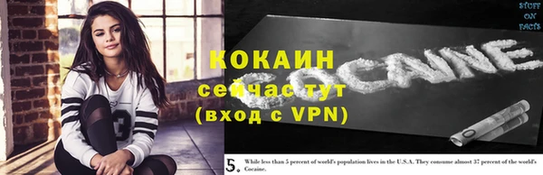 ГАЛЛЮЦИНОГЕННЫЕ ГРИБЫ Баксан