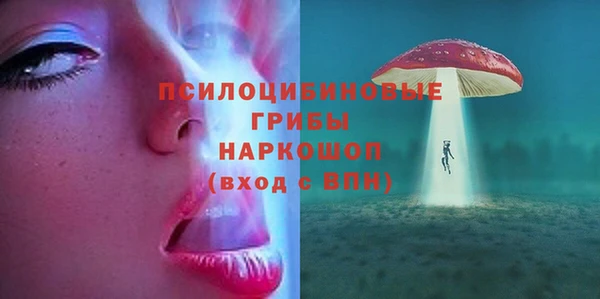ГАЛЛЮЦИНОГЕННЫЕ ГРИБЫ Баксан