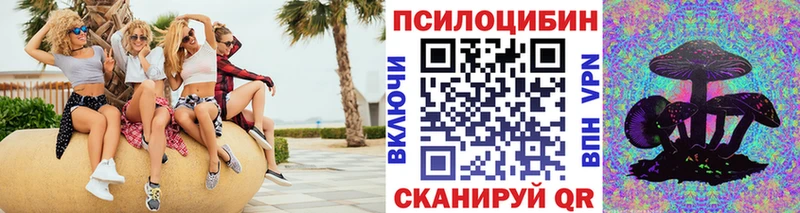 как найти   Галич  маркетплейс телеграм  Галлюциногенные грибы Magic Shrooms 